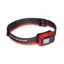 Black Diamond Astro 300 Headlamp - Octane